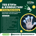 Tes STIFIn dan Konsultasi di Palembang